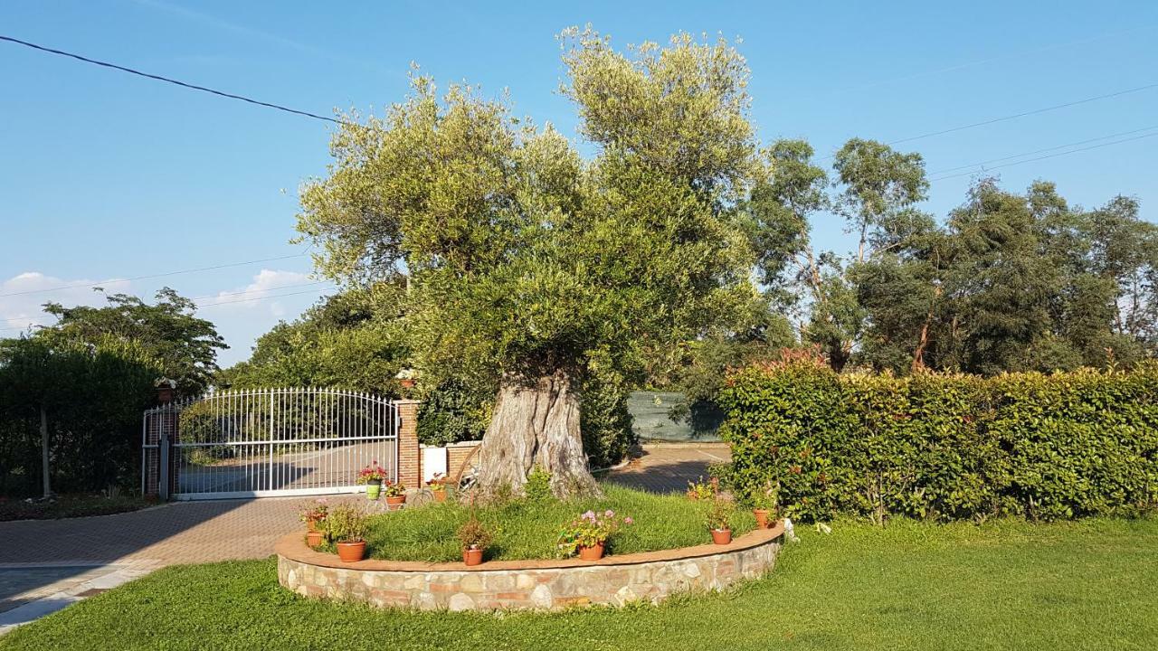 Casal Sant'Elena Bed and Breakfast Altopascio Εξωτερικό φωτογραφία
